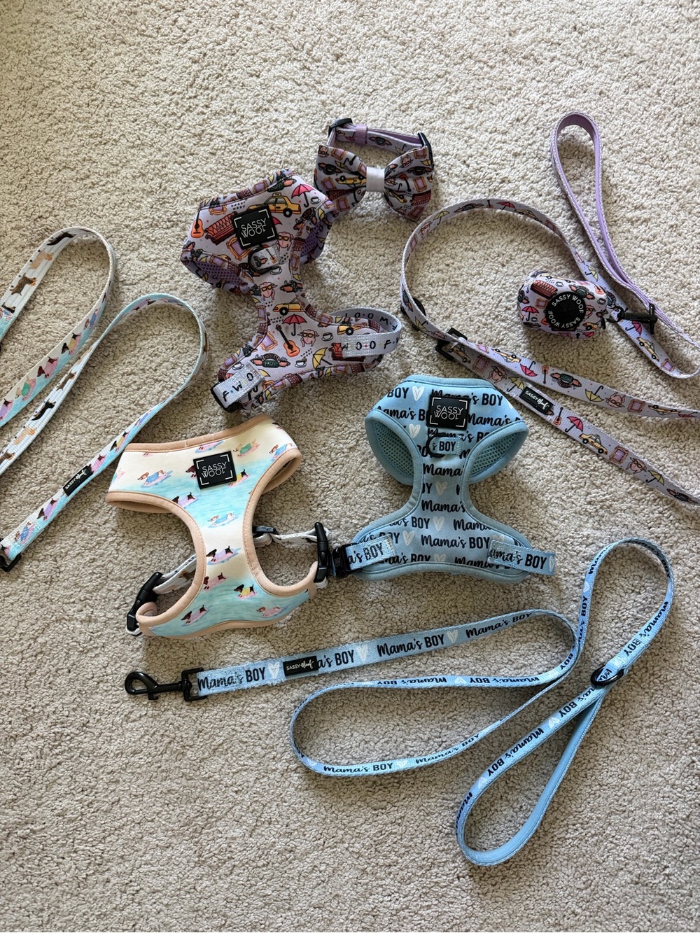Sassy Woof Harness Leash Bundle